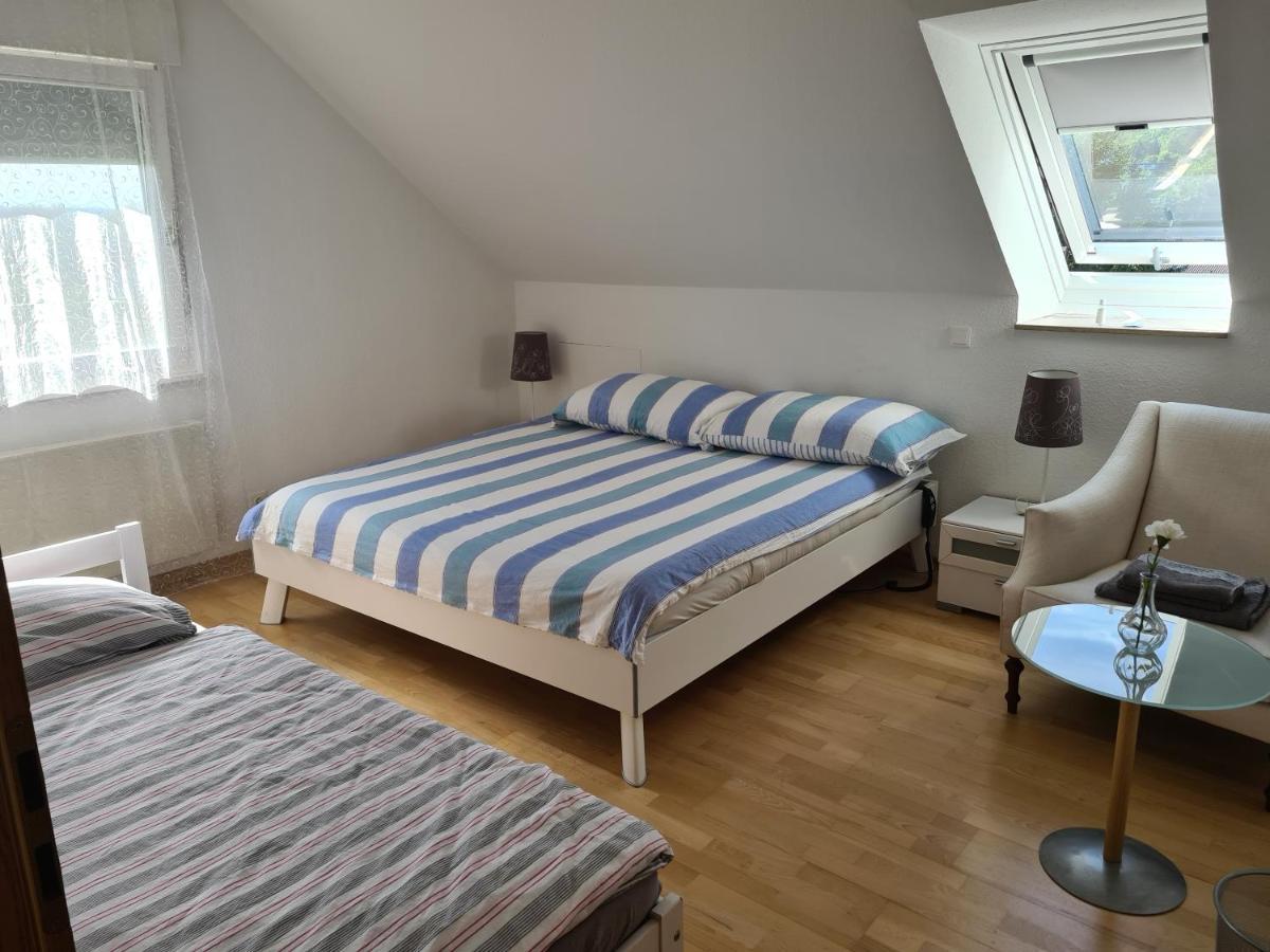 Appartement Paradiso Busingen am Hochrhein Exterior photo